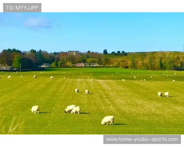 女王公园巡游者俱乐部探秘：悠闲时光与精彩活动的完美结合