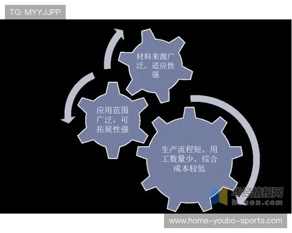 以罗马网为核心的数字创新探索与未来发展趋势分析